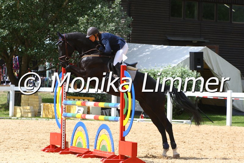 006M6894_Fantastic Touch_Springpferde L.JPG